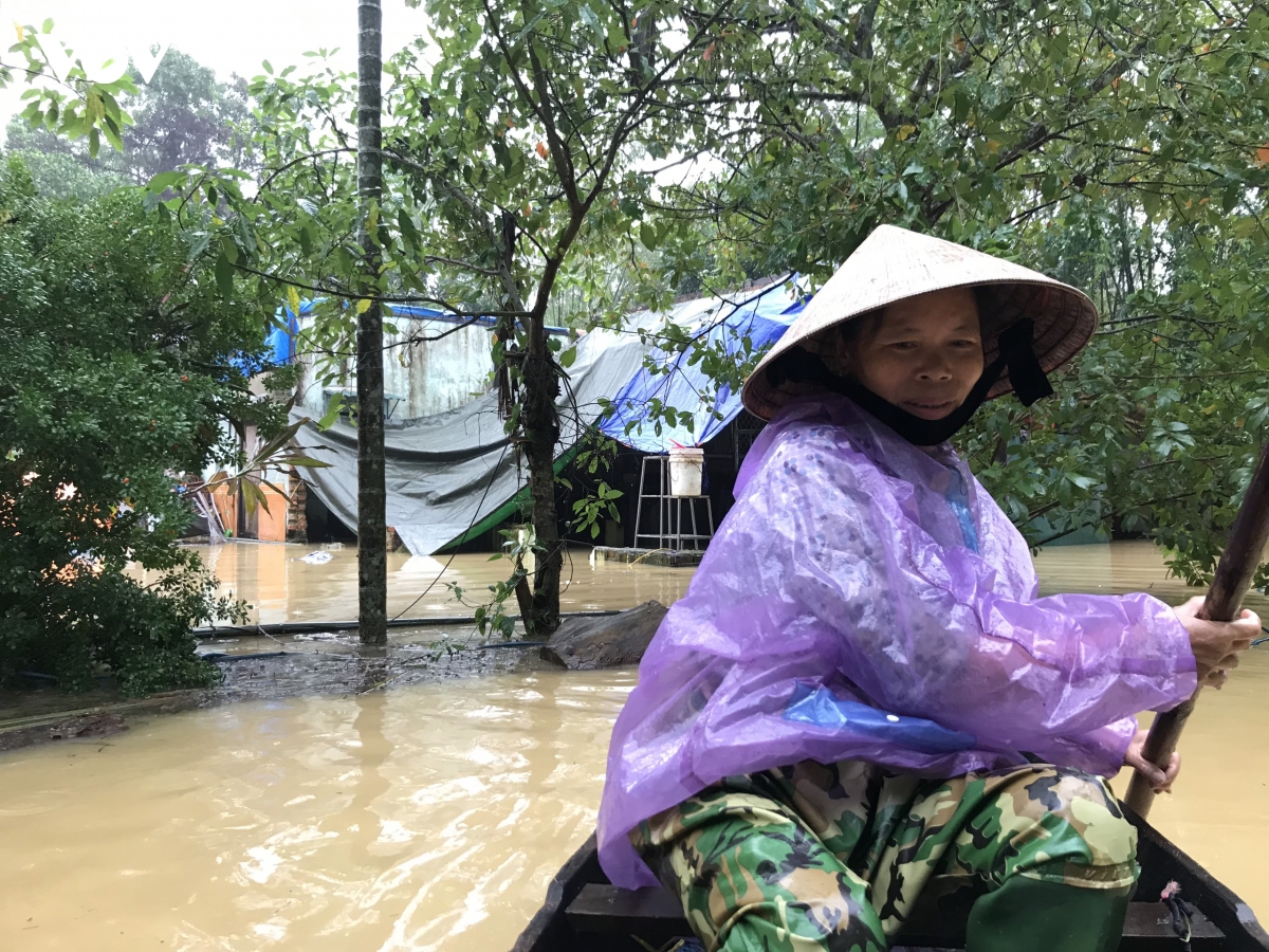 O to, gia suc leo len de tranh lu hinh anh 13
