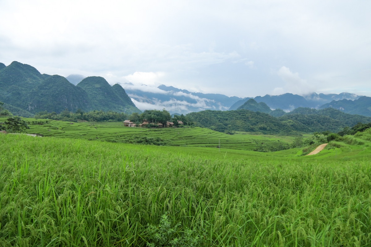 pu luong va nhung cung duong chay tuyet dep hinh anh 1