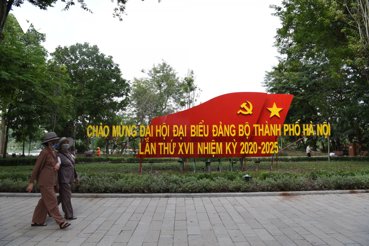 Duong pho ha noi ruc ro co hoa truoc them Dai hoi Dang bo thanh pho lan thu xvii hinh anh 2