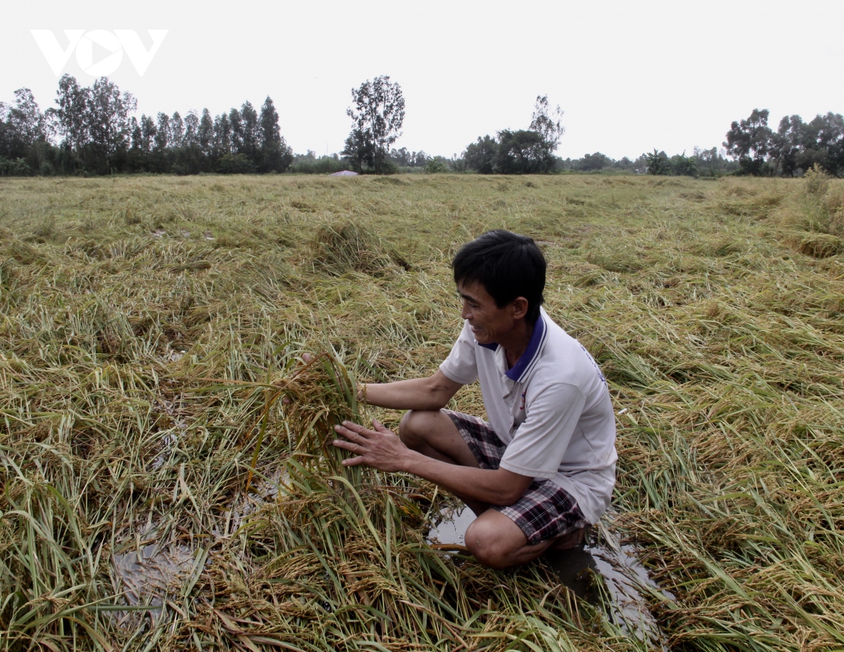  ngap ung tiep tuc gay thiet hai nang cho nguoi dan hau giang hinh anh 3