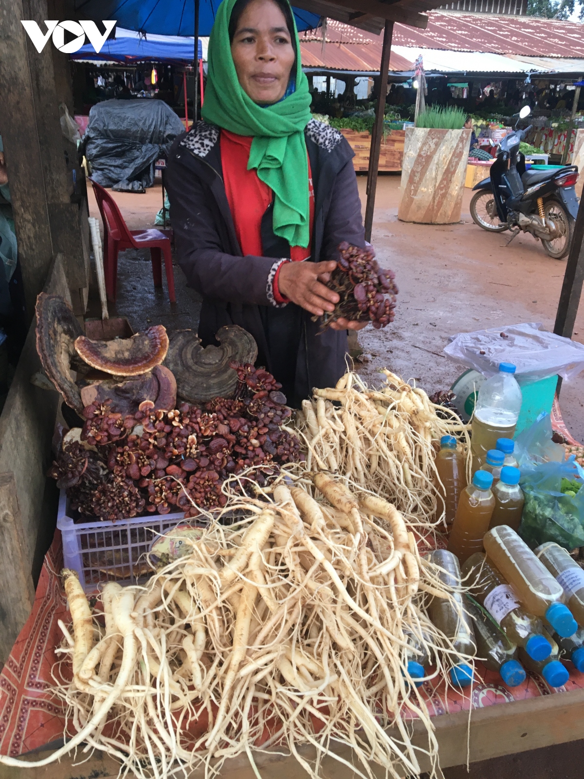 sekong va khat vong xuyen A hinh anh 4