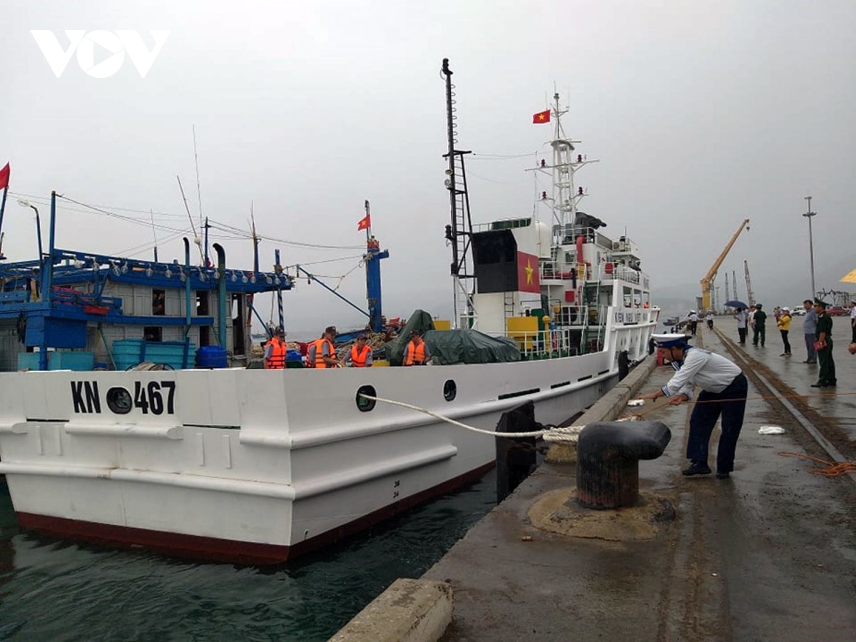 ngu dan tau ca gap nan ke lai giay phut sinh tu do anh huong bao so 9 hinh anh 4