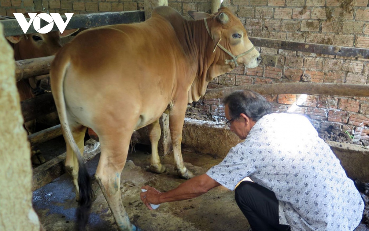 quang ngai thuc hien thang ve sinh, tieu doc va khu trung hinh anh 1