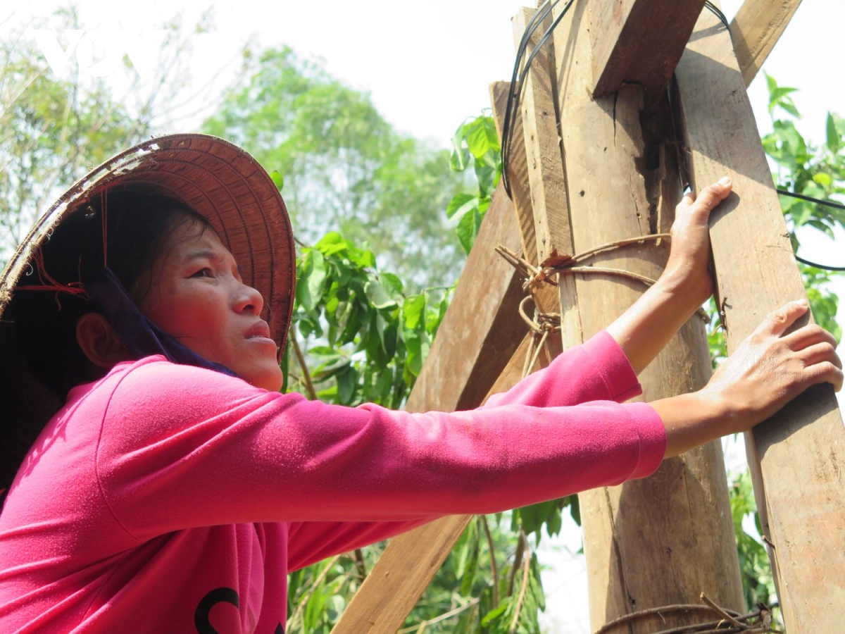 cuu tro khan cap vung bi lu chia cat o quang binh hinh anh 7