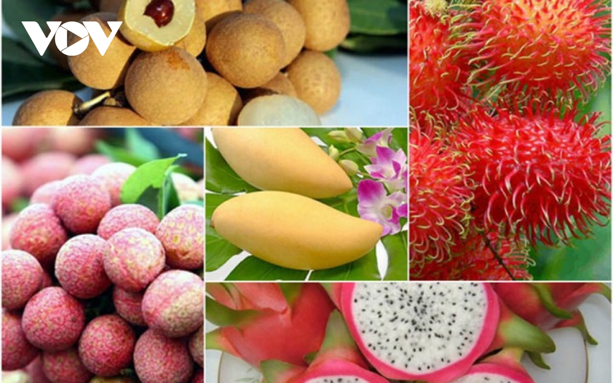 Vietnamese fruit exports to US market expected to grow by year end