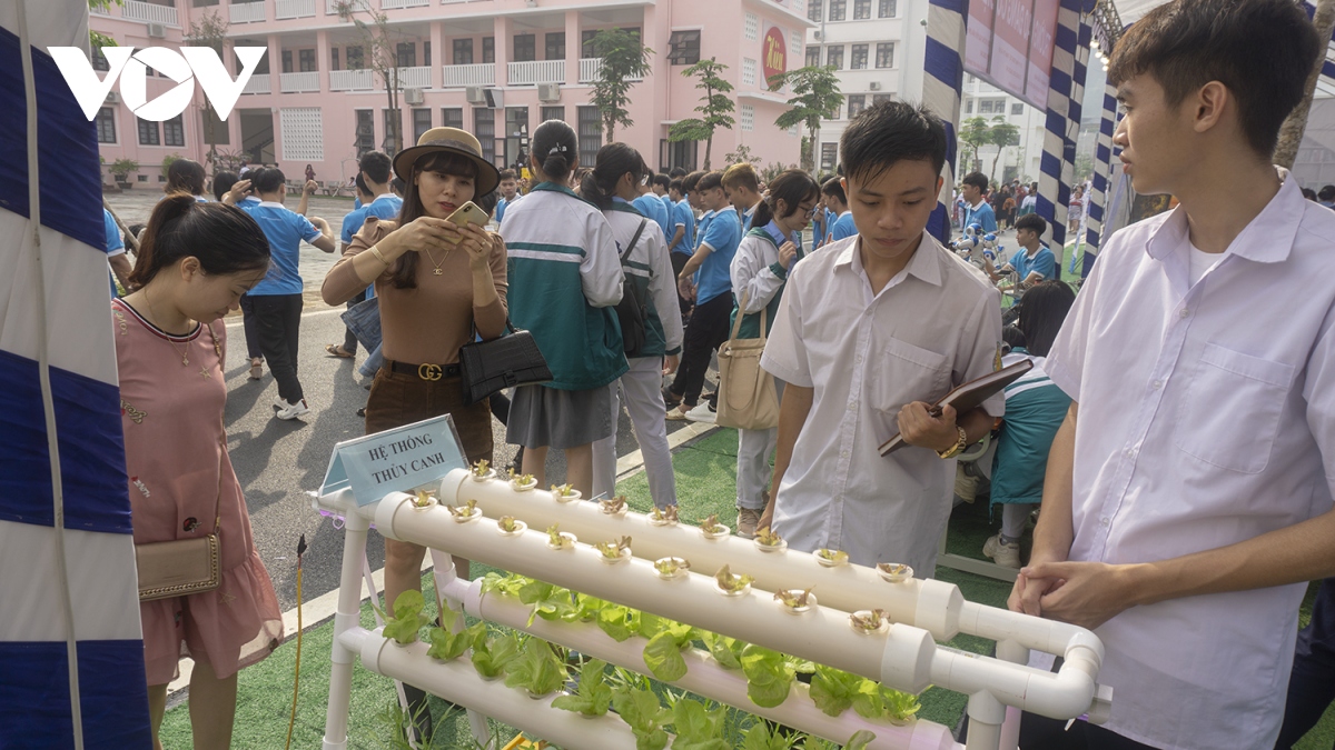 chum anh hoc sinh lao cai bien robot thanh nai ngua , biet nem con, chinh phuc fansipan hinh anh 12