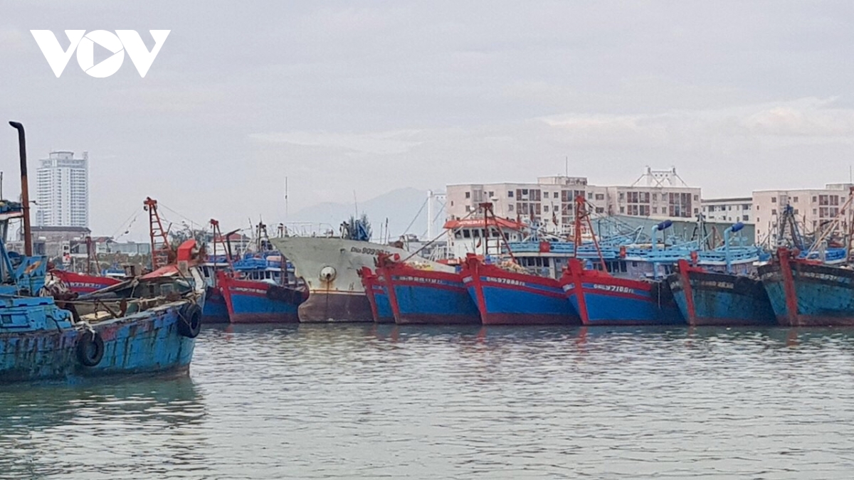 phó thủ tướng trịnh Đình dũng không chủ quan kể cả khi bão đã tan hình ảnh 1 pho thu tuong trinh Dinh dung khong chu quan ke ca khi bao da tan hinh anh 1