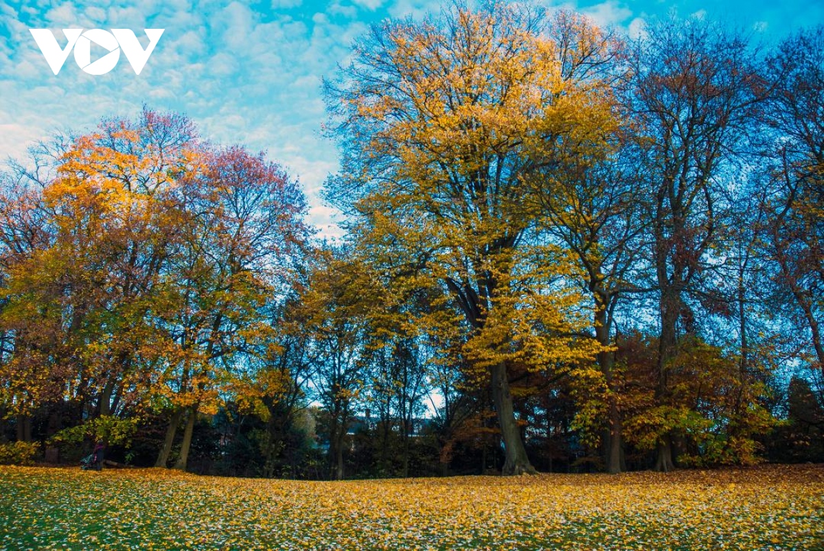 Chiêm ngưỡng phong cảnh mùa thu hữu tình tại Bỉ | VOV.VN