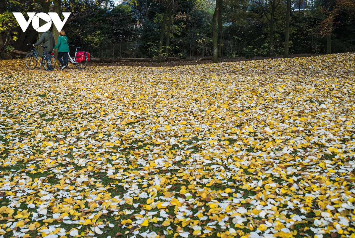 chiem nguong phong canh mua thu huu tinh tai bi hinh anh 6