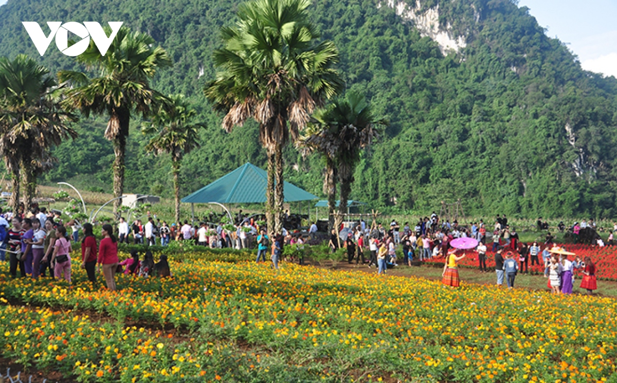 le hoi du lich ve mien dat ngoc se dien ra vao dau thang 12 hinh anh 1