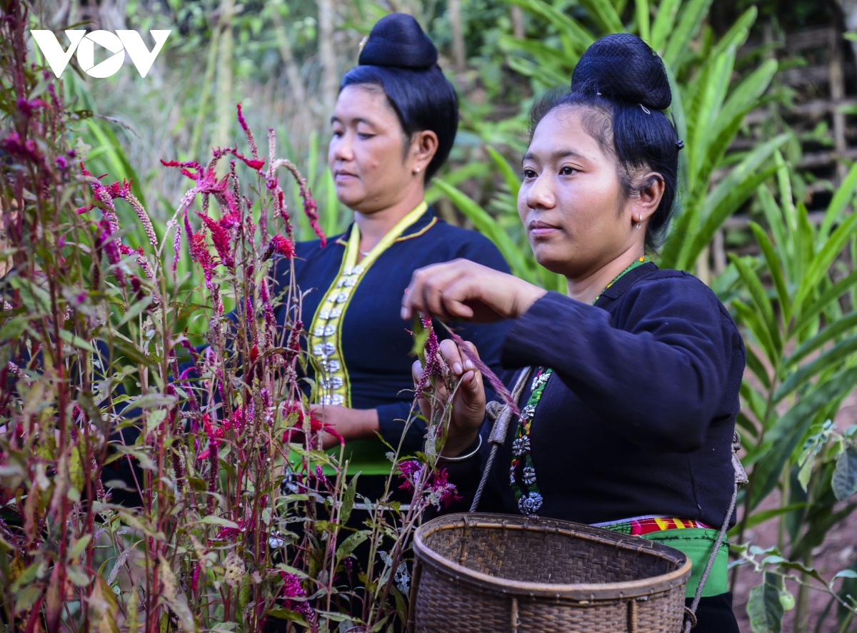 về biên giới lả chà vui tết hoa cùng đồng bào dân tộc cống hình ảnh 12 ve bien gioi la cha vui tet hoa cung dong bao dan toc cong hinh anh 12
