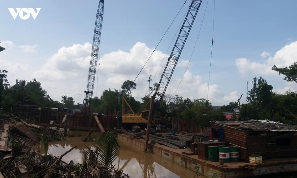Diem sang khoi phuc vuon cay dac san sau han man o ben tre hinh anh 4