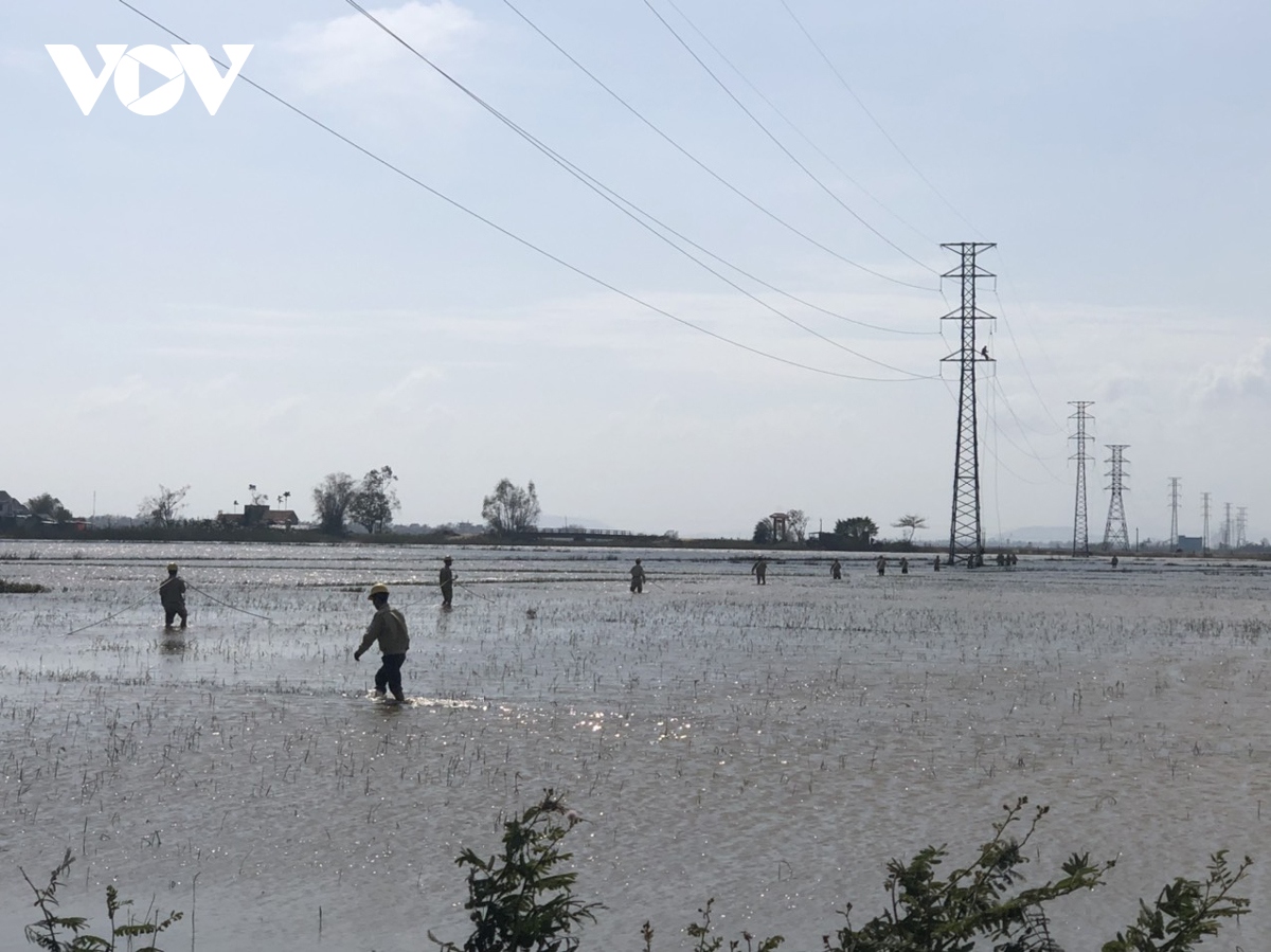 xu ly xong su co duong day 110kv quang ngai tu nghia hinh anh 3