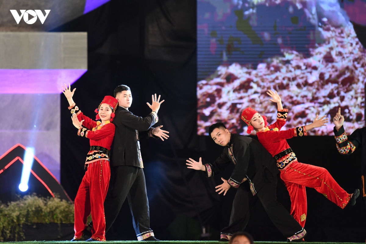 ha giang tung bung khai mac le hoi hoa tam giac mach 2020 hinh anh 8