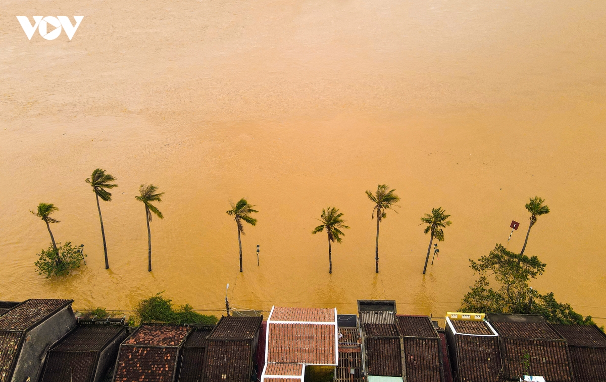 Anh lan thu 7 trong vong hon 1 thang, pho co hoi an ngap trong nuoc lu hinh anh 17