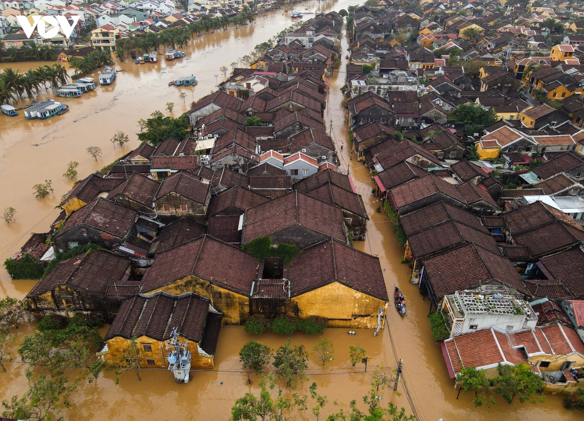 Anh lan thu 7 trong vong hon 1 thang, pho co hoi an ngap trong nuoc lu hinh anh 7