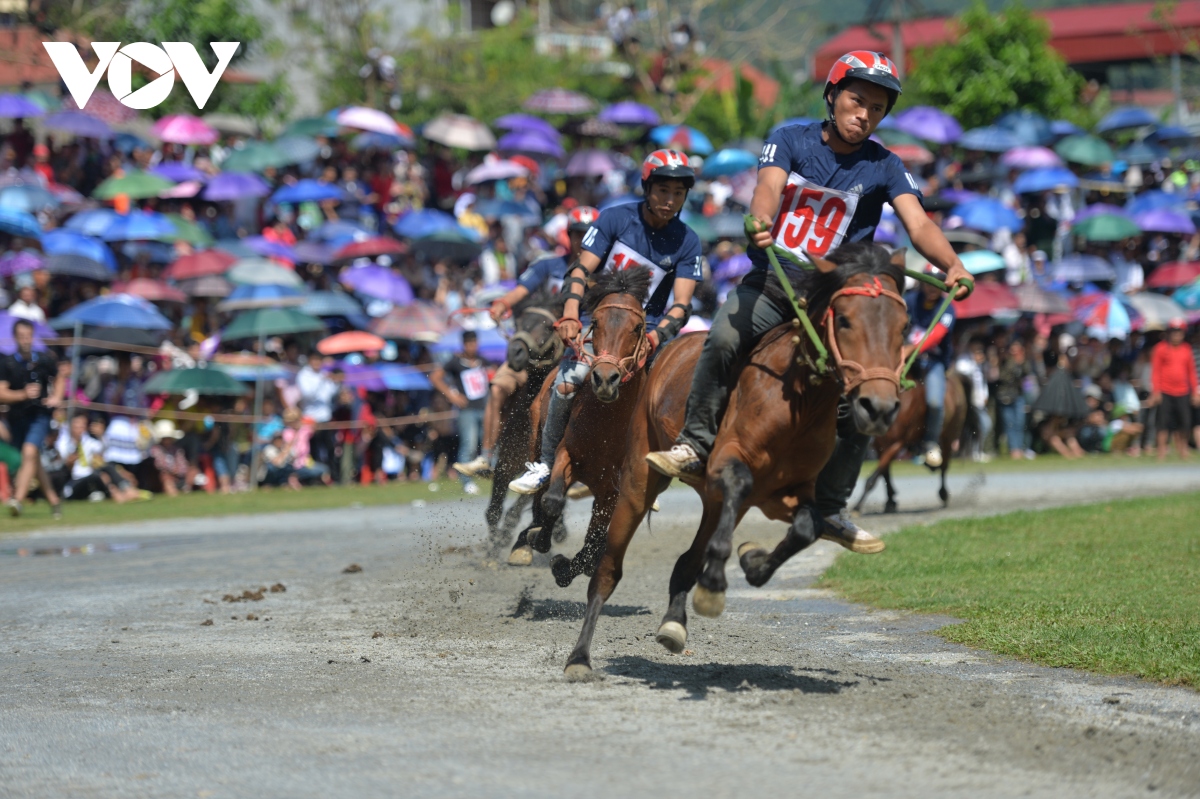 to chuc dua ngua tai le hoi mua dong bac ha nam 2020 hinh anh 1