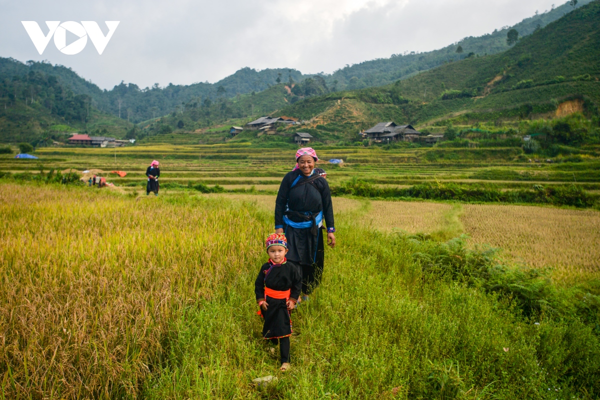 to chuc dua ngua tai le hoi mua dong bac ha nam 2020 hinh anh 2