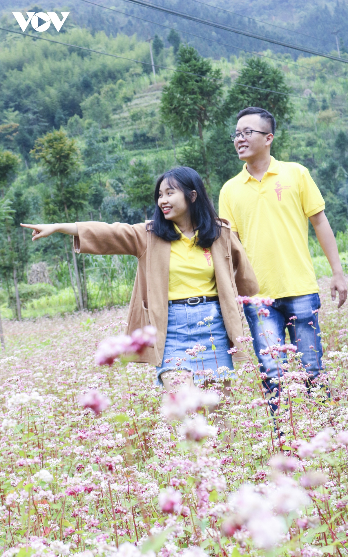 giới trẻ đổ về hà giang ngắm hoa tam giác mạch bung nở hình ảnh 11 gioi tre do ve ha giang ngam hoa tam giac mach bung no hinh anh 11