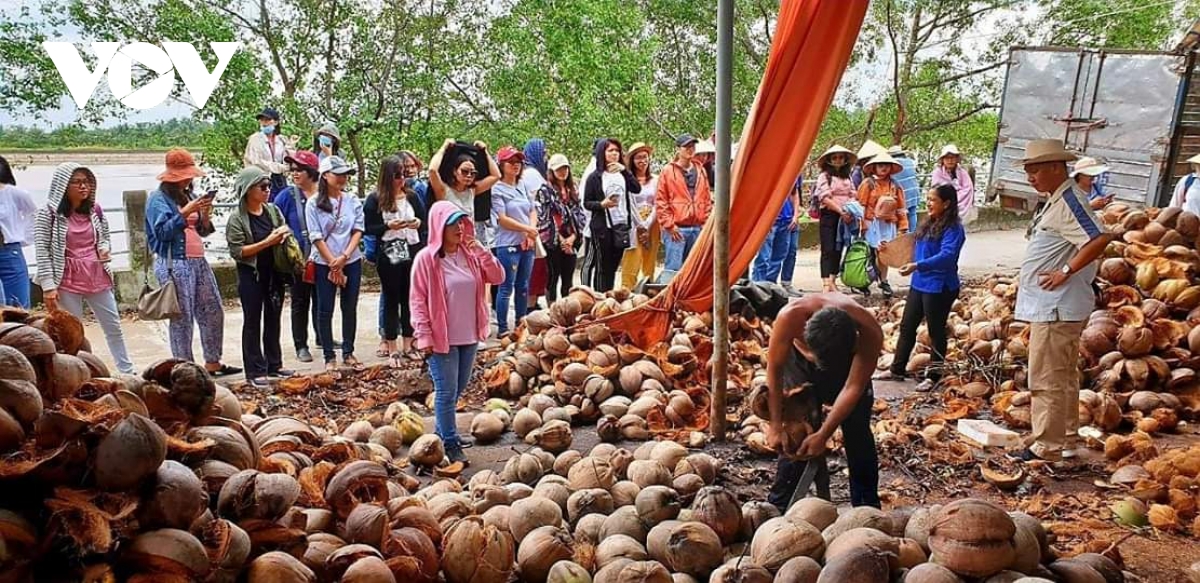 Trải nghiệm làm nông, chèo thuyền và sống mộc mạc tại Trà Vinh, Bến Tre