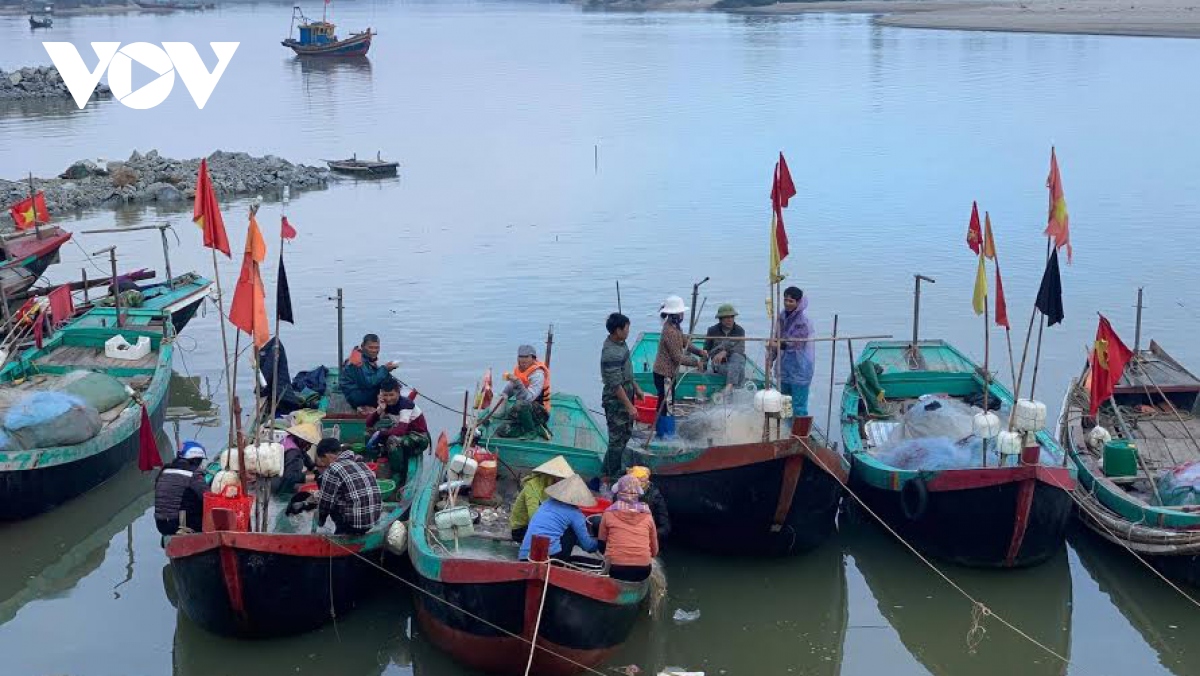 ron rang ra khoi san loai ca dac san, ngu dan ha tinh thu tien trieu moi ngay hinh anh 1