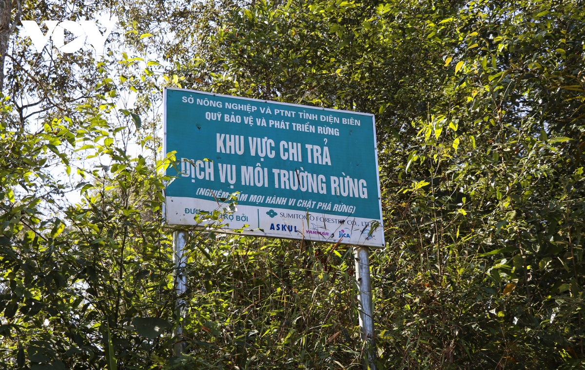 vung loi rung dac dung muong phang dang bi rut ruot nghiem trong hinh anh 2