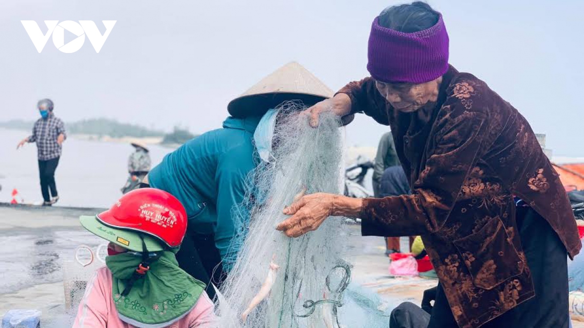 ron rang ra khoi san loai ca dac san, ngu dan ha tinh thu tien trieu moi ngay hinh anh 3