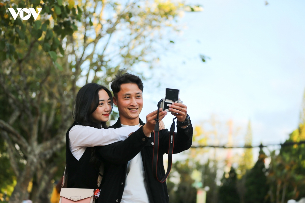ngam bieu tuong hoa cua tay bac bung no khoe sac tai Da lat hinh anh 8