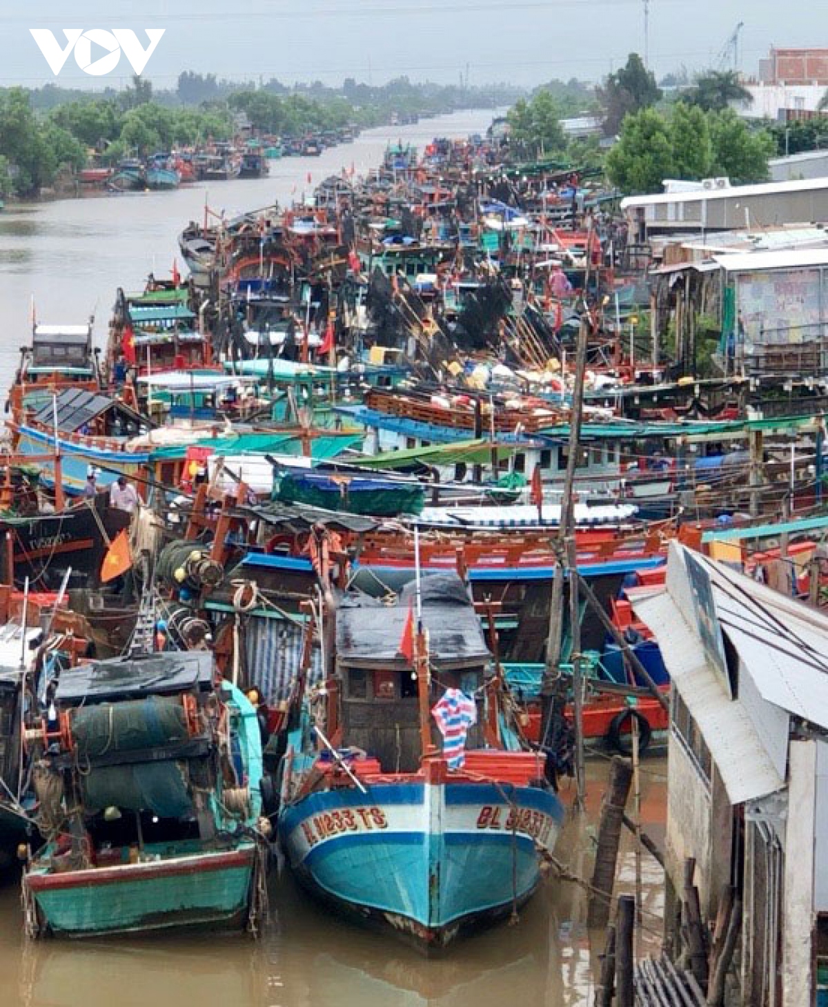 cac dia phuong keu goi tau thuyen ve noi tru tranh an toan hinh anh 2