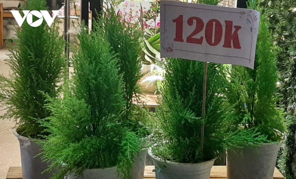 thị trường giáng sinh lượng khách giảm và mua sắm tiết kiệm hơn hình ảnh 2 thi truong giang sinh luong khach giam va mua sam tiet kiem hon hinh anh 2