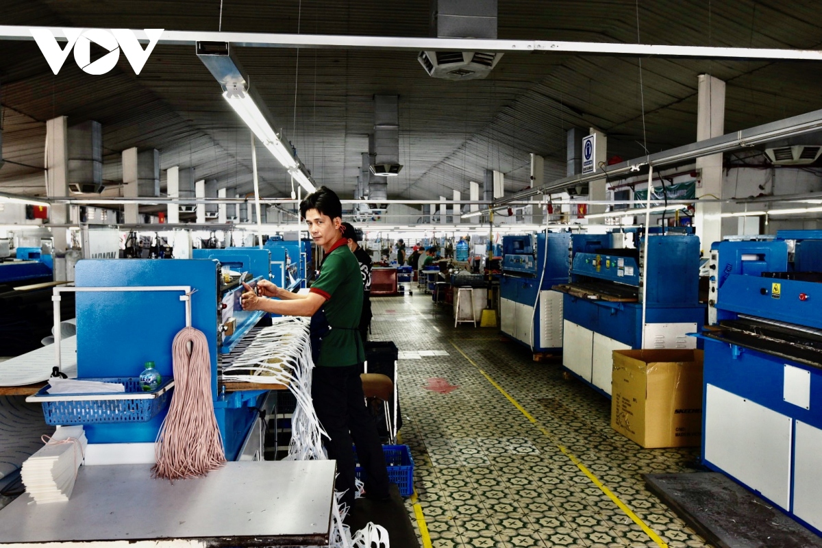 ngành da giày cần những chính sách giải cứu phù hợp hình ảnh 2 nganh da giay can nhung chinh sach giai cuu phu hop hinh anh 2