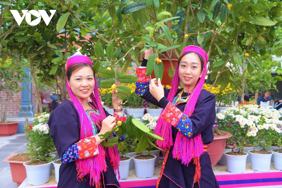 khong gian van hoa dac sac tai le hoi tra hoa vang 2020 hinh anh 2