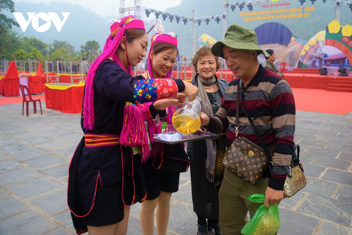 khong gian van hoa dac sac tai le hoi tra hoa vang 2020 hinh anh 5