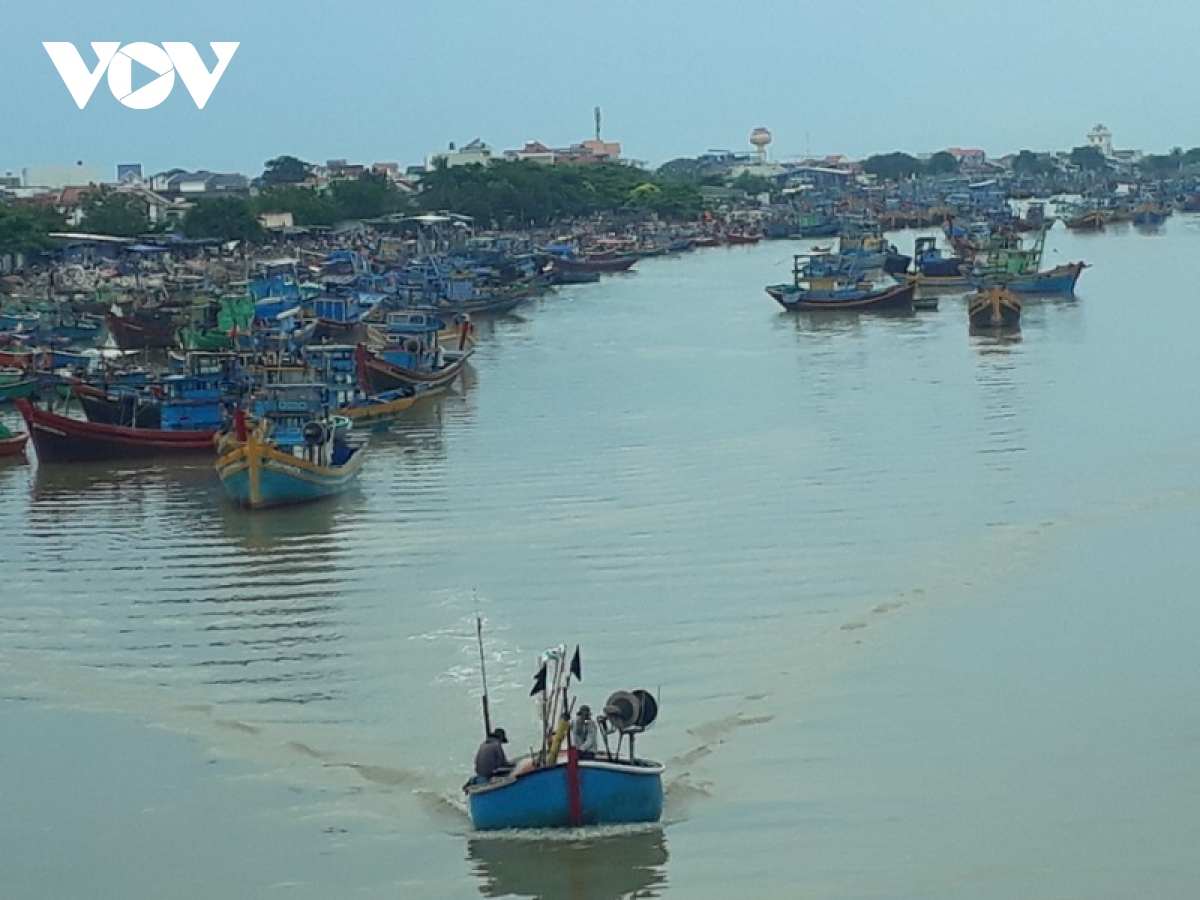 ninh thuan, binh thuan san sang ung pho du bao so 14 da tro thanh ap thap hinh anh 2