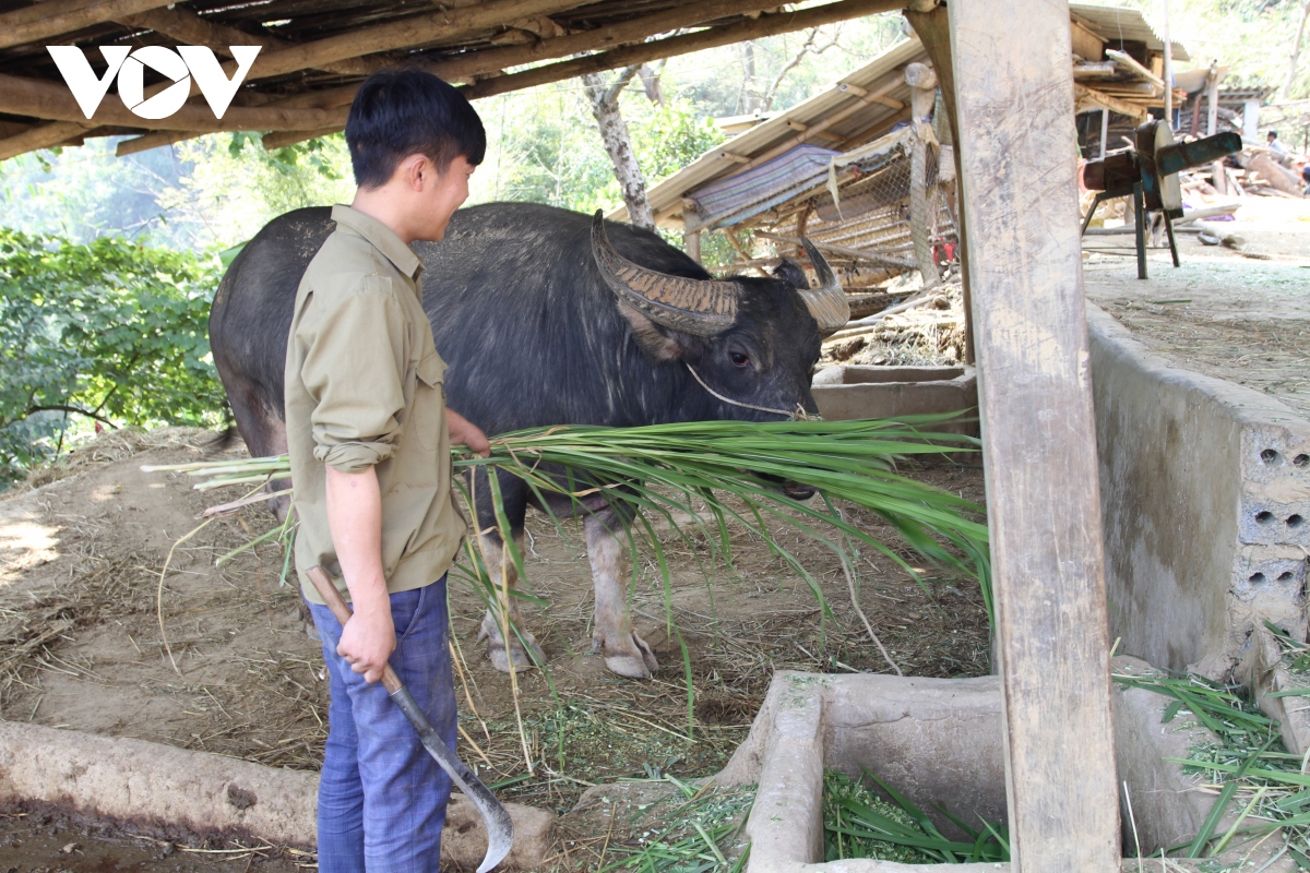 yen bai chu dong ung pho voi dot ret dam, ret hai dang tang cuong hinh anh 3