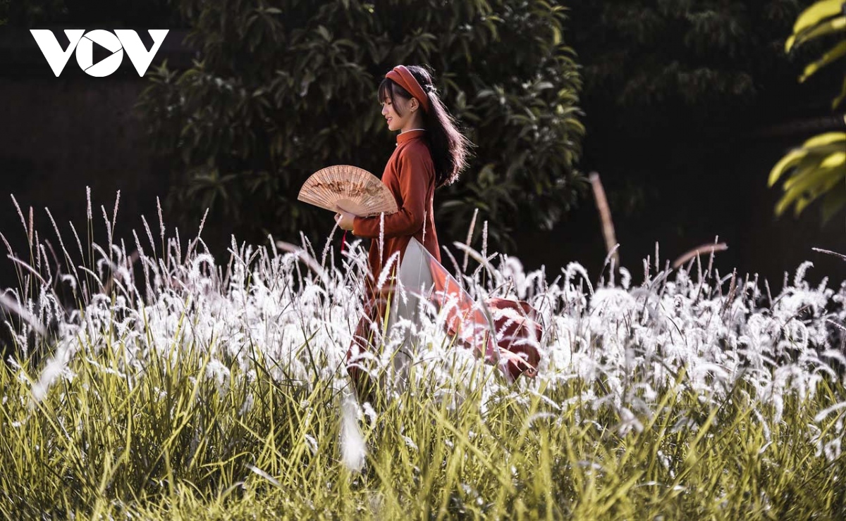 Ao dai ngu than co dung khuy cai su lich duyet den tu chi tiet hinh anh 3