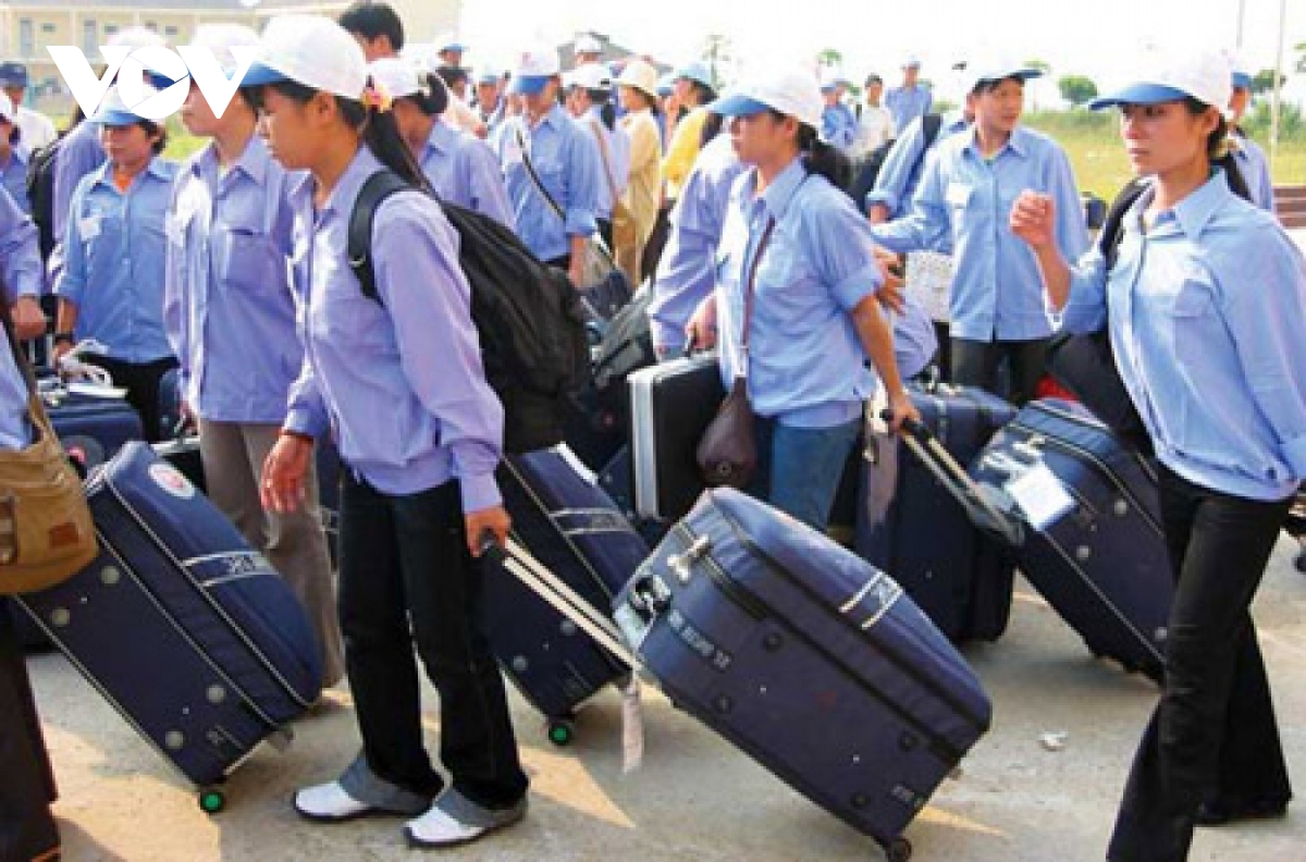 Vietnamese labourers to enjoy greater protection when working abroad