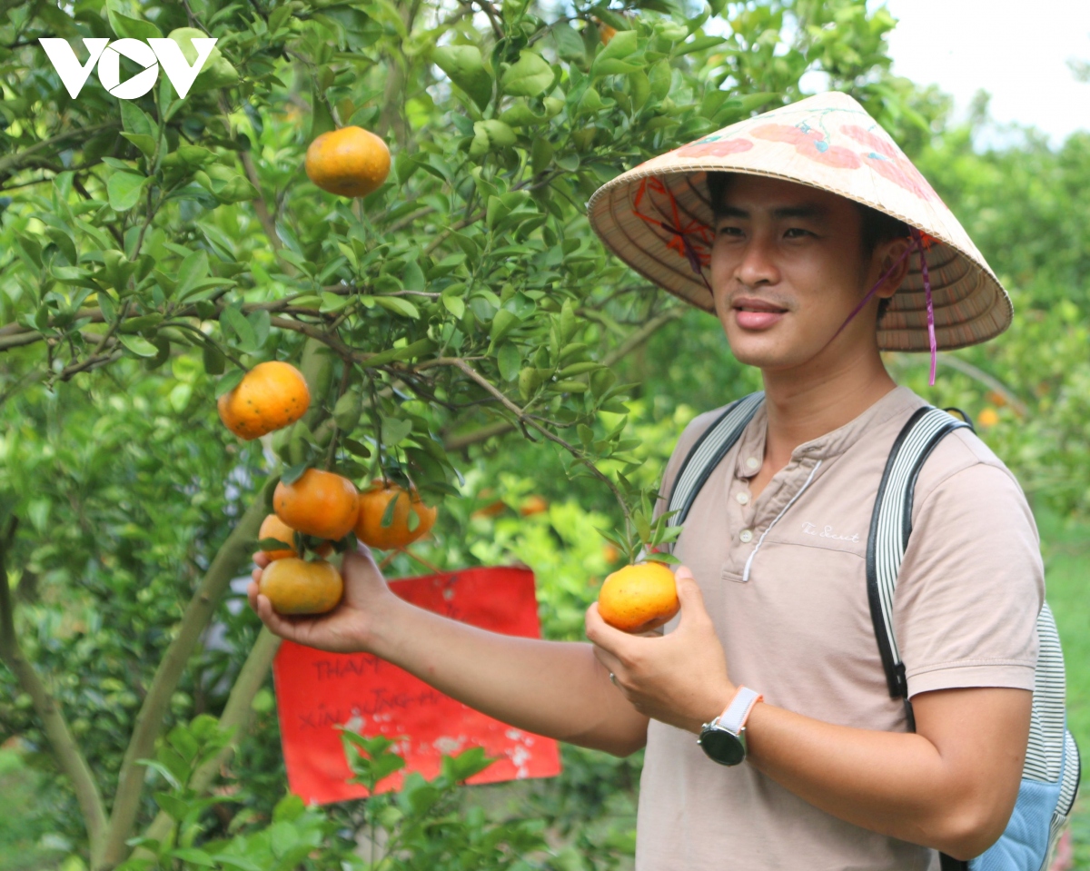 khach nuom nuop do ve vuon quyt hong lai vung va lang hoa sa Dec hinh anh 11