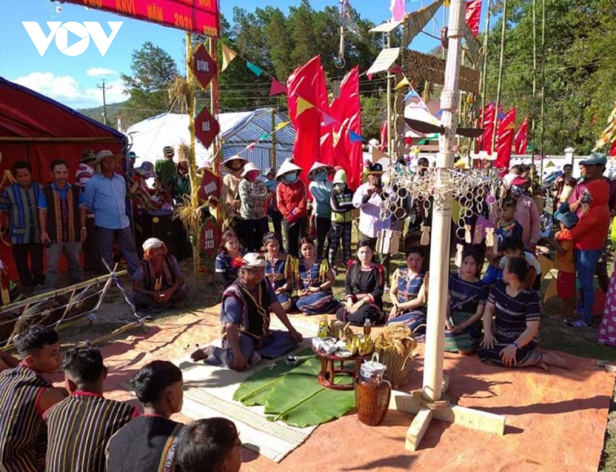 tung bung tet Dau lua vung cao binh thuan hinh anh 2