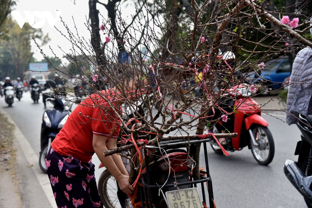 Dao nhat tan, dao tay bac la liet tren pho, nguoi mua van thua vang hinh anh 8