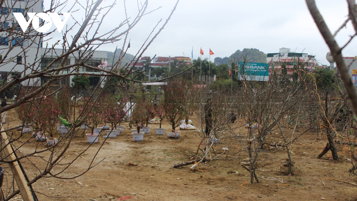 son la da that su tao dieu kien thuan loi cho nguoi dan buon ban dao trong hinh anh 2