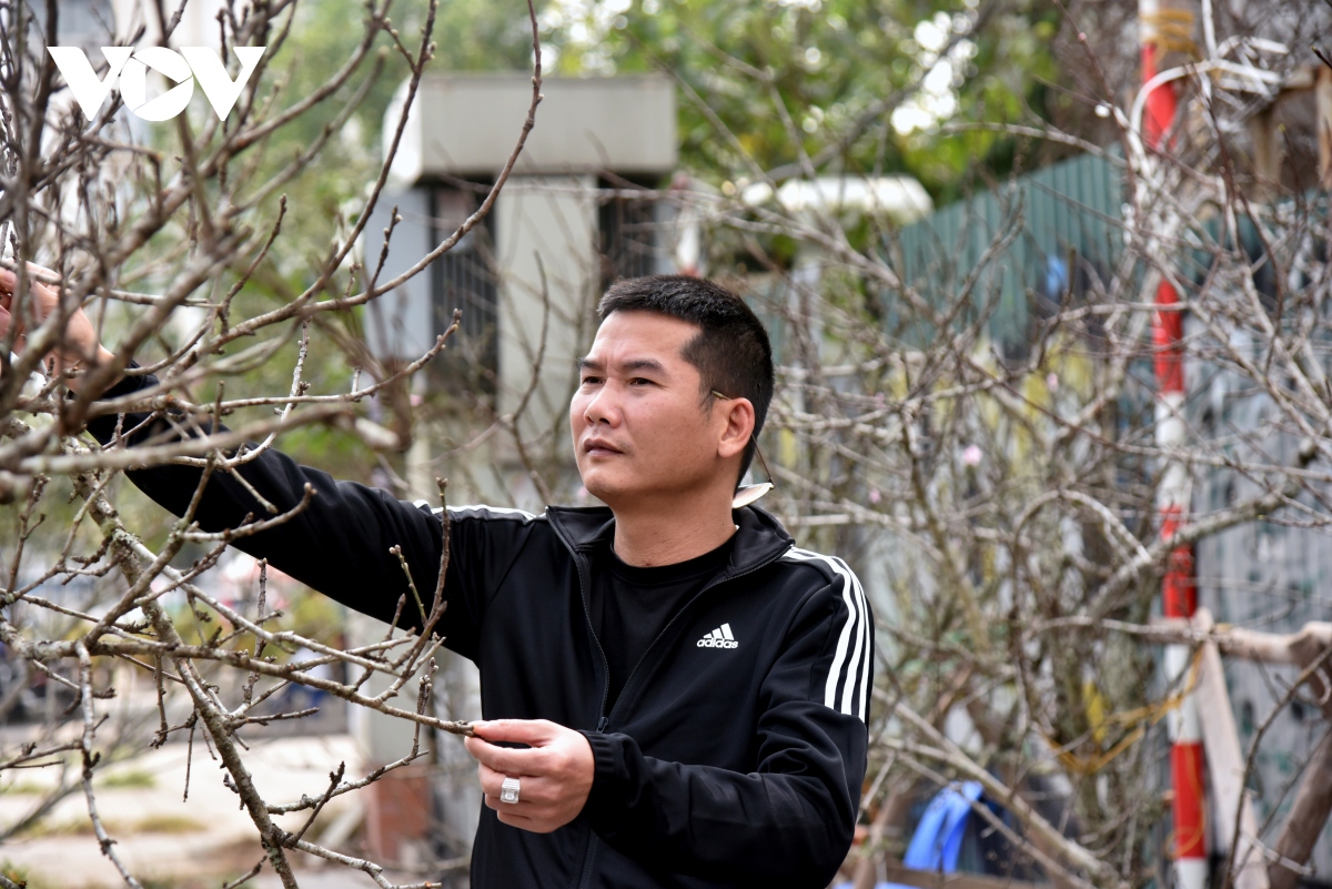 Dao nhat tan, dao tay bac la liet tren pho, nguoi mua van thua vang hinh anh 13