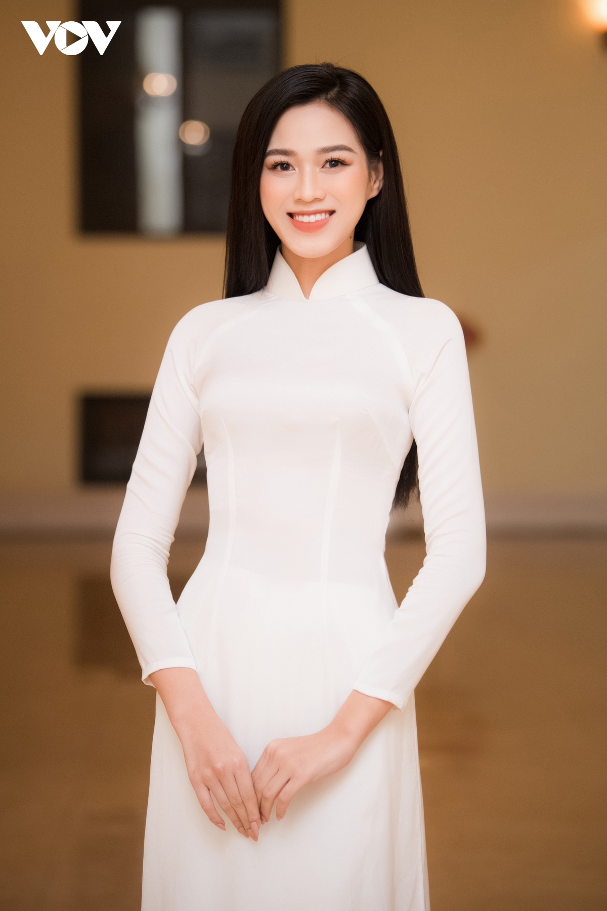 hoa hau Do ha tro thanh dai su hoi chu thap do viet nam hinh anh 1