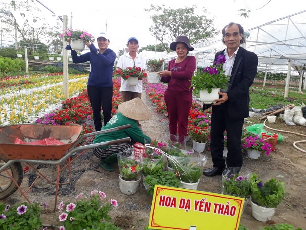 nguoi trong hoa tet o duy xuyen vui vi duoc mua, duoc gia hinh anh 3