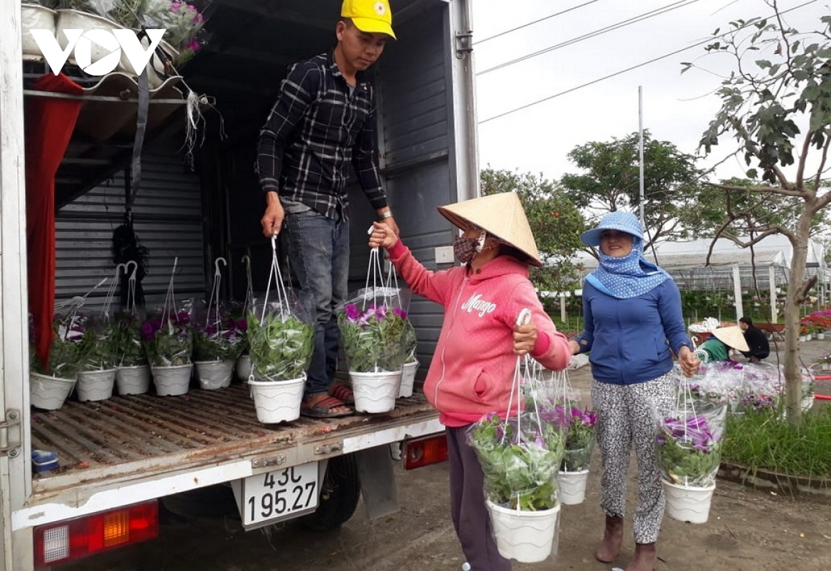 nguoi trong hoa tet o duy xuyen vui vi duoc mua, duoc gia hinh anh 4