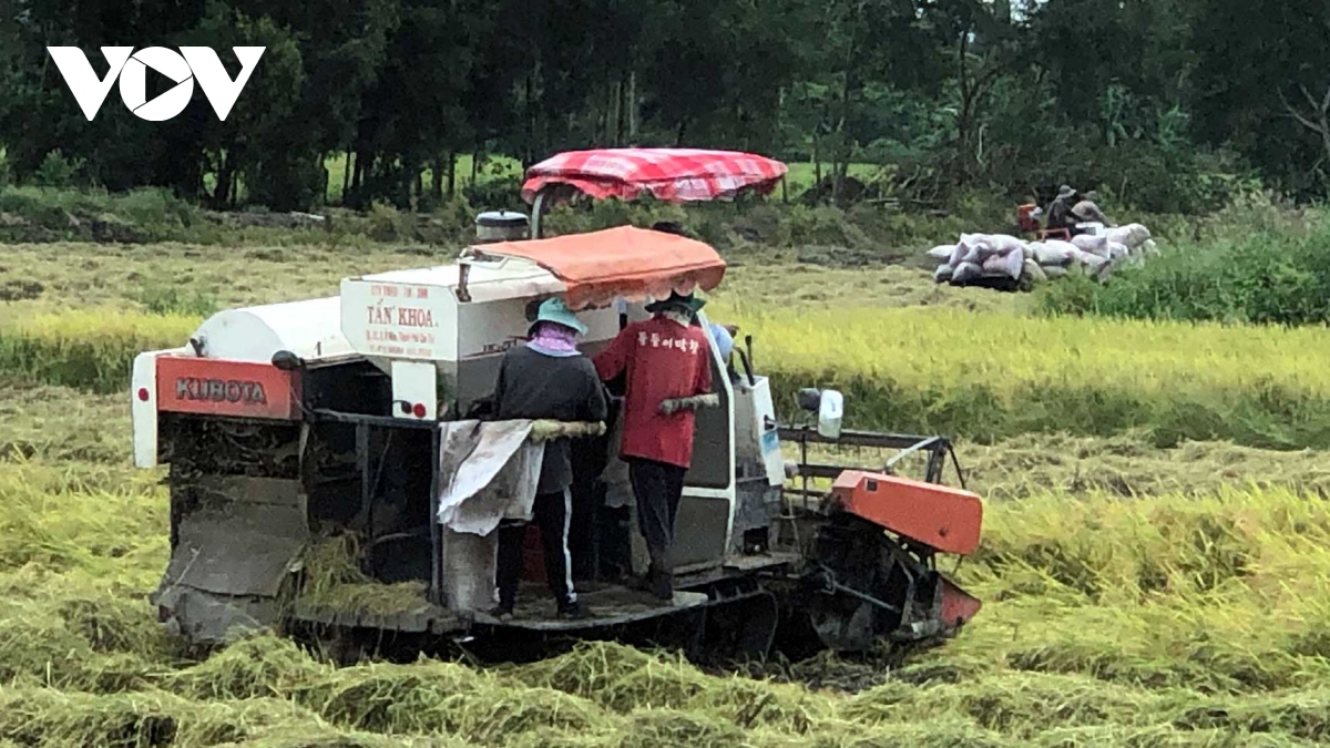 nong nghiep la nen tang va tru do cho nen kinh te hinh anh 3