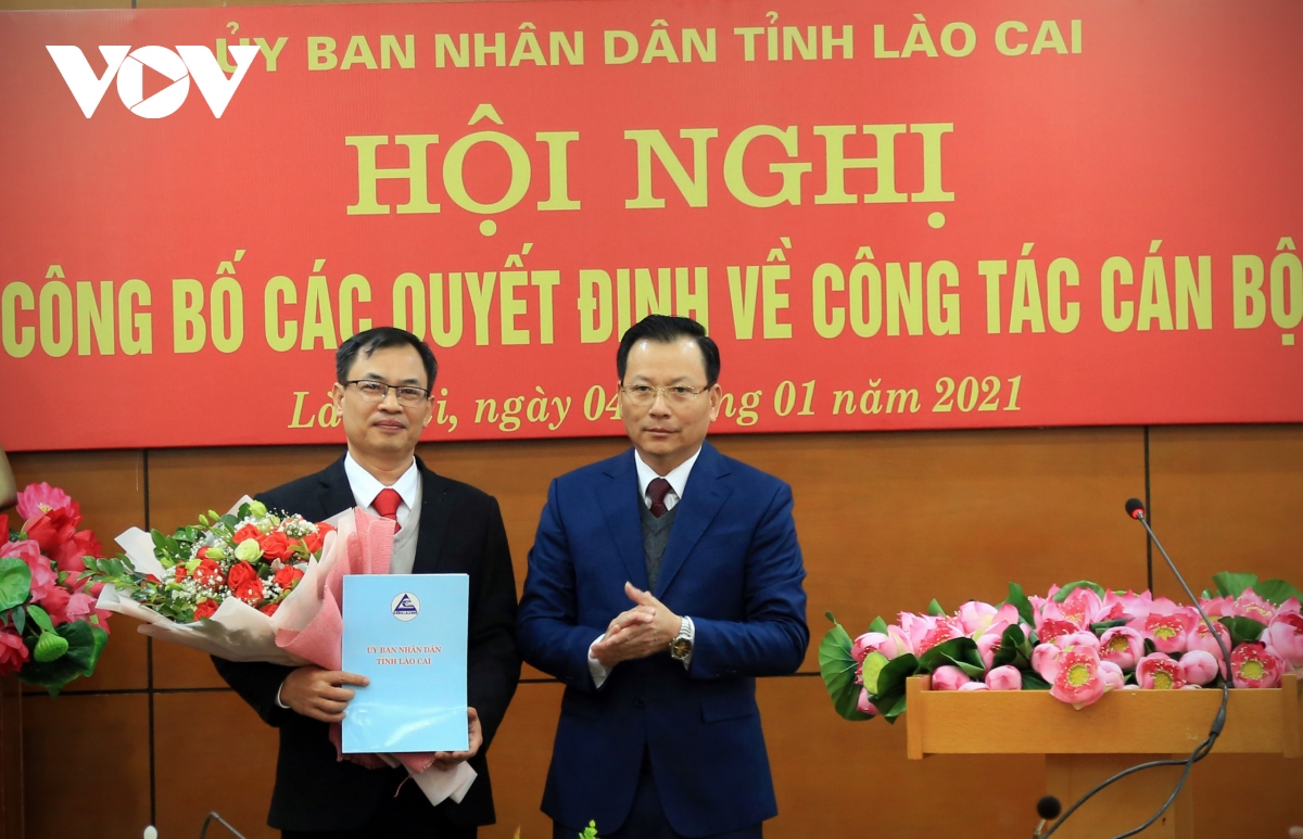 lao cai co tan giam doc so ngoai vu hinh anh 1