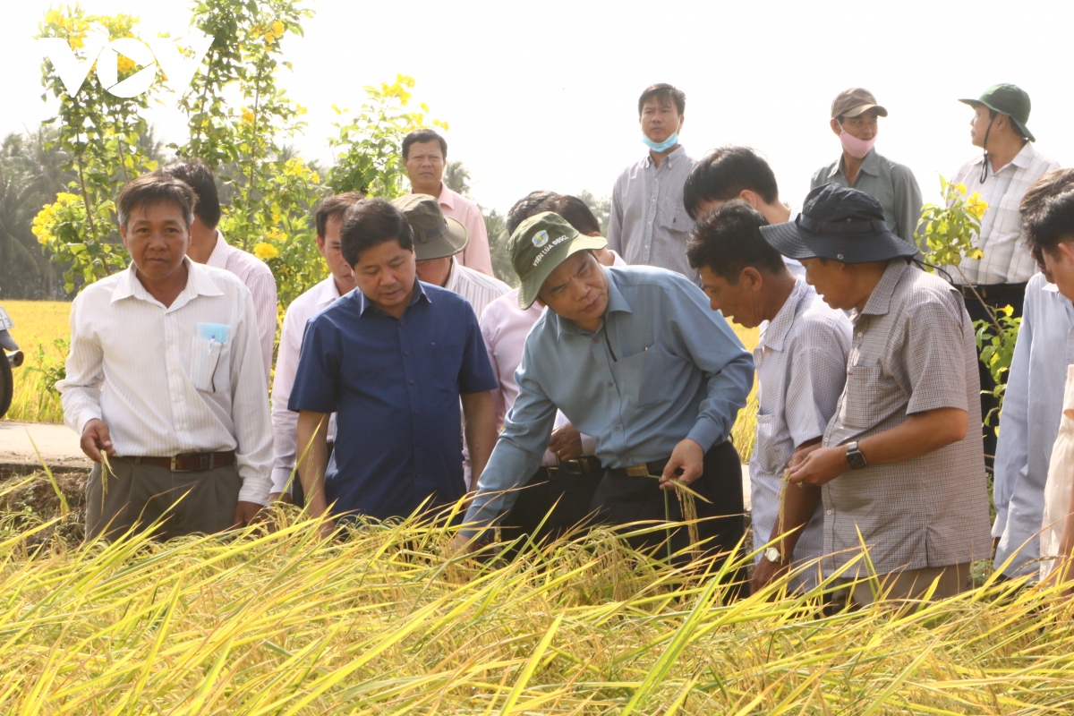 khuyen cao nguoi dan khong lam lua vu 3 de tranh thiet hai do han man hinh anh 3