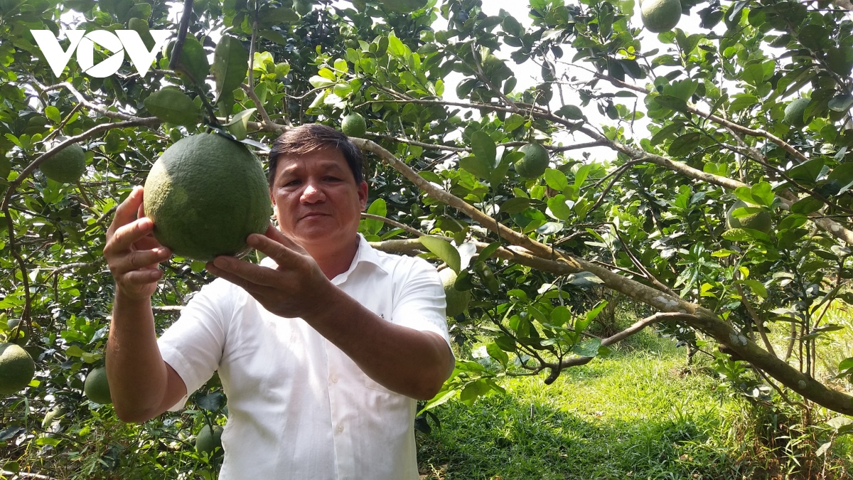 nong nghiep la nen tang va tru do cho nen kinh te hinh anh 2