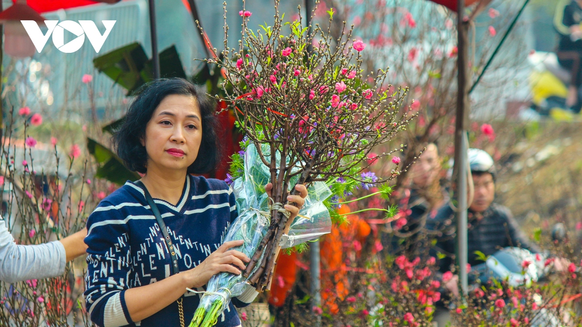 Chợ hoa Quảng Bá nhộn nhịp người mua đào chơi Tết